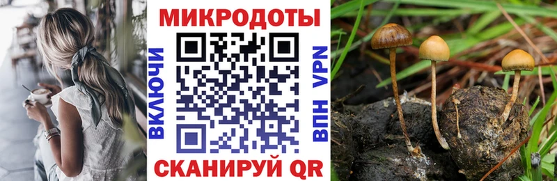 Галлюциногенные грибы Magic Shrooms  MEGA маркетплейс  Старый Крым 